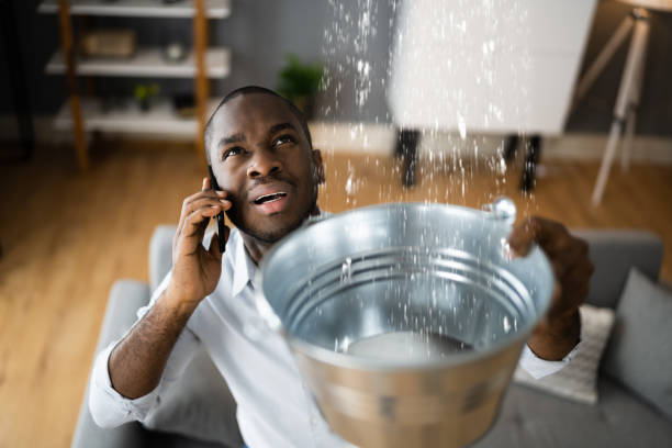 Best Water damage restoration near me  in Roswell, NM