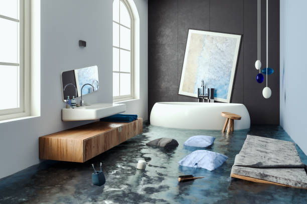 Best 24/7 water damage repair  in Roswell, NM