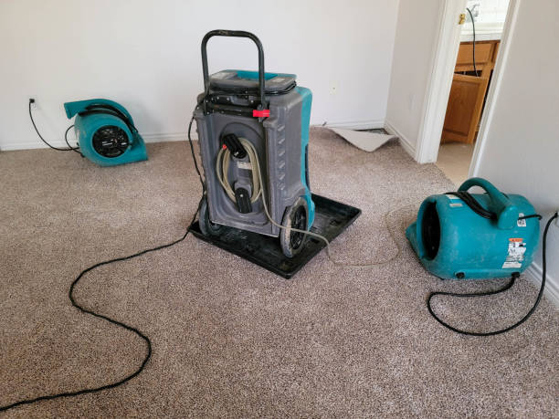 Best Sewage cleanup and water damage restoration  in Roswell, NM