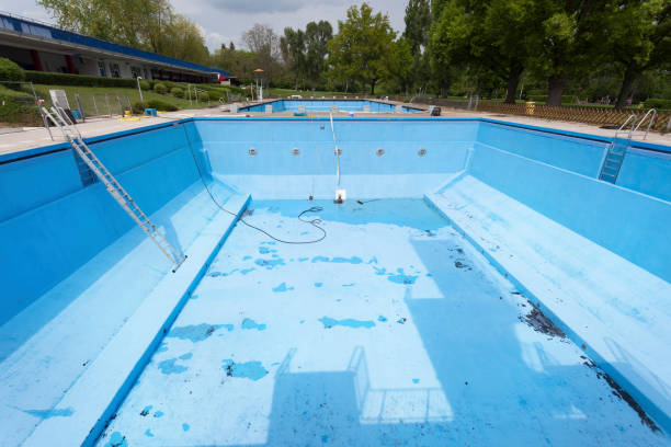 Best Professional water damage repair  in Roswell, NM