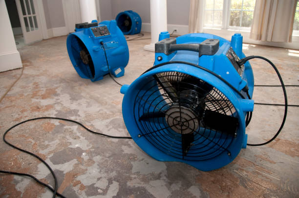 Best Basement water damage restoration  in Roswell, NM