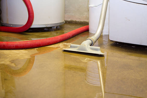 Best Local water damage restoration  in Roswell, NM
