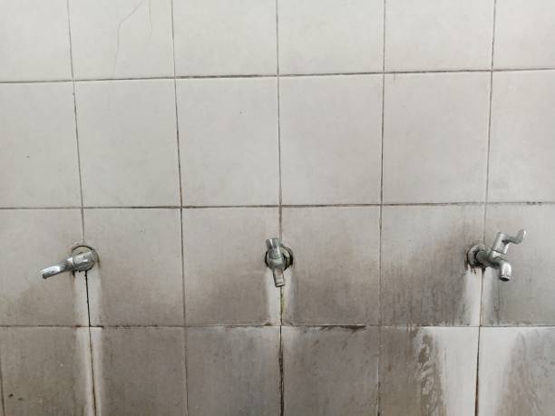Best Water damage contractors near me  in Roswell, NM