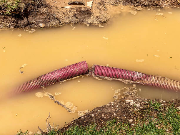 Best Flood restoration services  in Roswell, NM